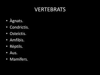 VERTEBRATS
• Àgnats.
• Condrictis.
• Osteïctis.
• Amfibis.
• Rèptils.
• Aus.
• Mamífers.
 