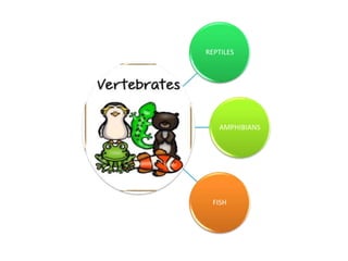 REPTILES
AMPHIBIANS
FISH
 