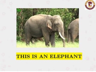 THIS IS AN ELEPHANT
THIS IS AN ELEPHANT
 