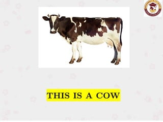 THIS IS A COW
THIS IS A COW
 