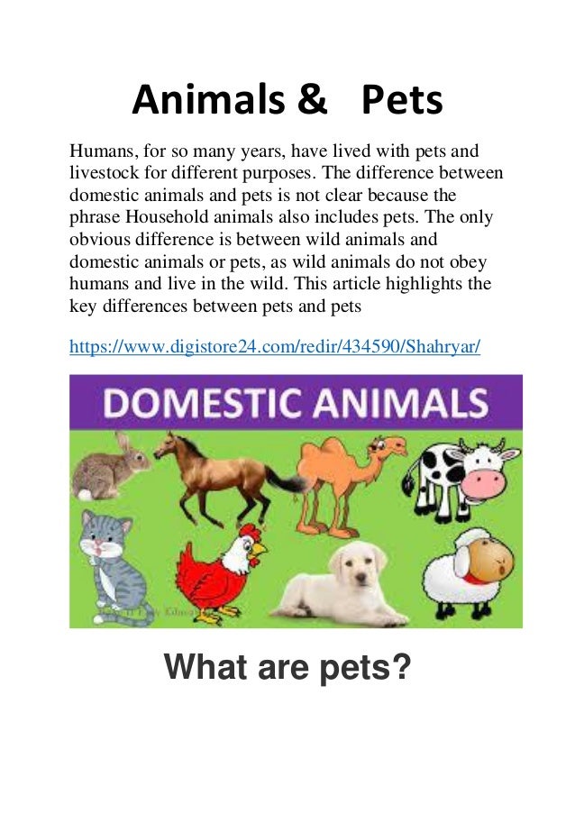 Animals & Pets
Humans, for so many years, have lived with pets and
livestock for different purposes. The difference between
domestic animals and pets is not clear because the
phrase Household animals also includes pets. The only
obvious difference is between wild animals and
domestic animals or pets, as wild animals do not obey
humans and live in the wild. This article highlights the
key differences between pets and pets
https://www.digistore24.com/redir/434590/Shahryar/
What are pets?
 