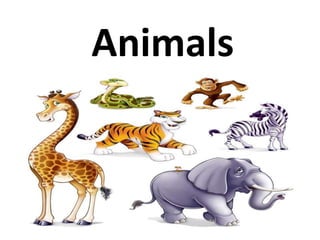 Animals
 