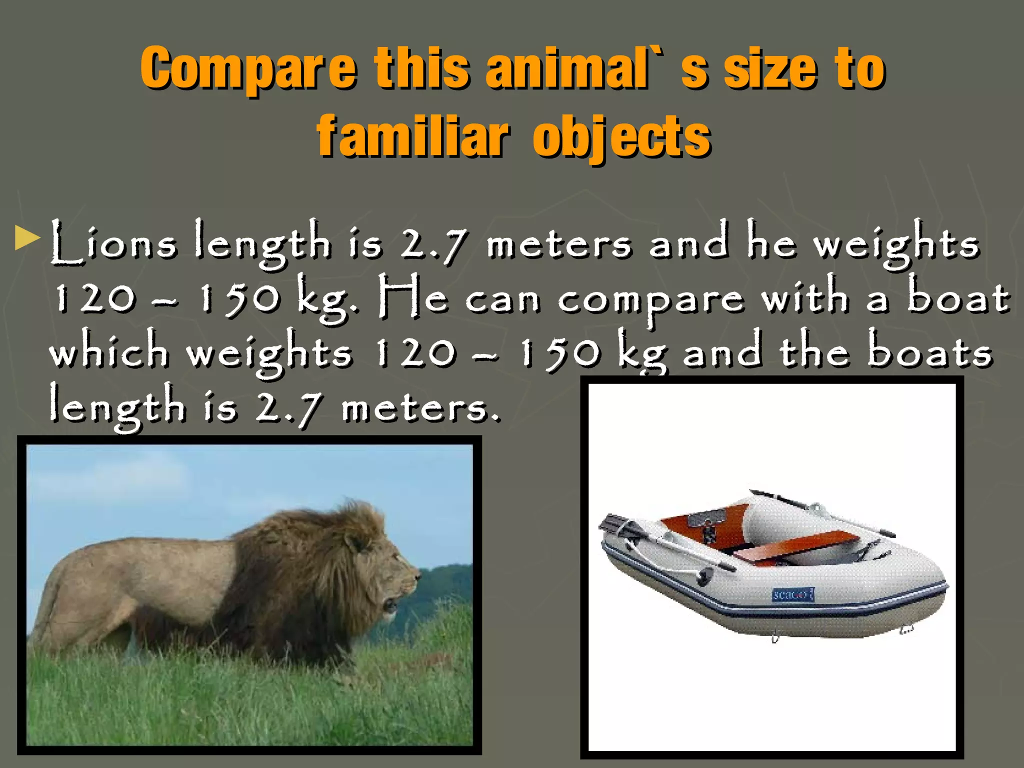 Compar e this animal` s size to
familiar objects
► Lions

length is 2.7 meters and he weights
120 – 150 kg. He can compare with a boat
which weights 120 – 150 kg and the boats
length is 2.7 meters.

 