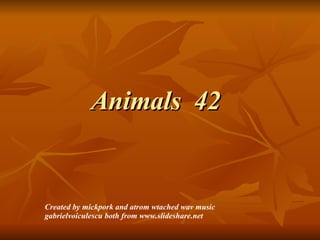 Animals  42 Created by mickpork and atrom wtached wav music gabrielvoiculescu both from www.slideshare.net 
