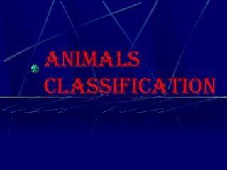 AnimAls
clAssificAtion
 