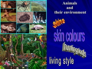 Animals  and  their environment skins hunting tools skin colours living style 