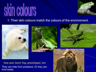 Animals And Environment | PPT