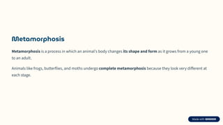 Animals-and-their-babies , LIFE CYCLES.pdf