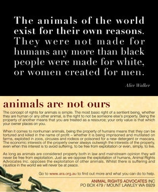 Animals Are Not Ours