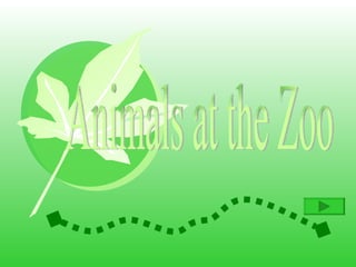 Animals at the Zoo 