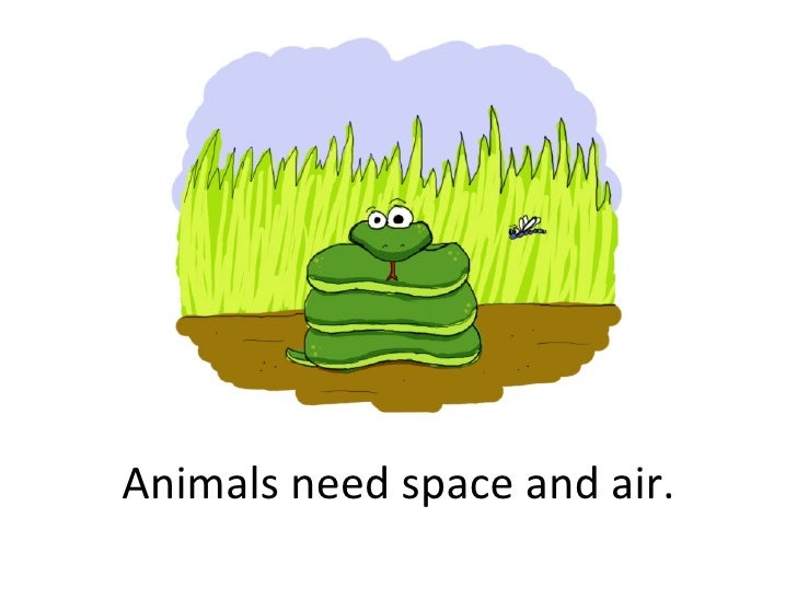 Animals Book.Ppt