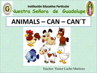 Teacher: Yunior Lucho Martinez
ANIMALS – CAN – CAN´T
 