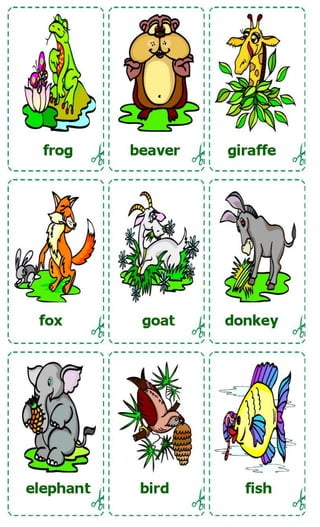 Animals cards