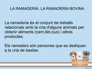 LA RAMADERIA. LA RAMADERIA BOVINA
La ramaderia és el conjunt de treballs
relacionats amb la cria d'alguns animals per
obtenir aliments (carn,llet,ous) i altres
productes.
Els ramaders són persones que es dediquen
a la cria de bestiar.
 