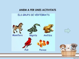 ANEM A FER UNES ACTIVITATS
 
