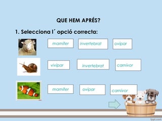 QUE HEM APRÉS?
1. Selecciona l´ opció correcta:
ovíparmamífer invertebrat
vivípar invertebrat carnívor
mamífer ovípar carnívor
 