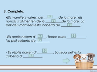 2. Completa:
-Els mamífers naixen del _________de la mare i els
nonats s´alimenten de la __________de la mare. La
pell dels mamífers està coberta de ____________.
-Els ocells naixen d´______. Tenen dues ____________
i la pell coberta de ________
- Els rèptils naixen d´__________. La seua pell està
coberta d´____________
 
