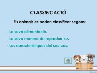 CLASSIFICACIÓ
Els animals es poden classificar segons:
- La seva alimentació.
- La seva manera de reproduïr-se.
- Les característiques del seu cos.
 