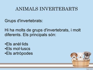 ANIMALS INVERTEBARTS
Grups d'invertebrats:
Hi ha molts de grups d'invertebrats, i molt
diferents. Els principals són:
●Els anèl·lids
●Els mol·luscs
●Els artròpodes
 
