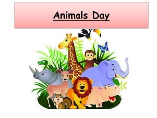 Animals Day
 