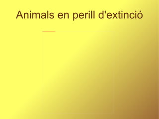 Animals en perill d'extinció 