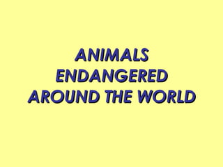 ANIMALS ENDANGERED AROUND THE WORLD 