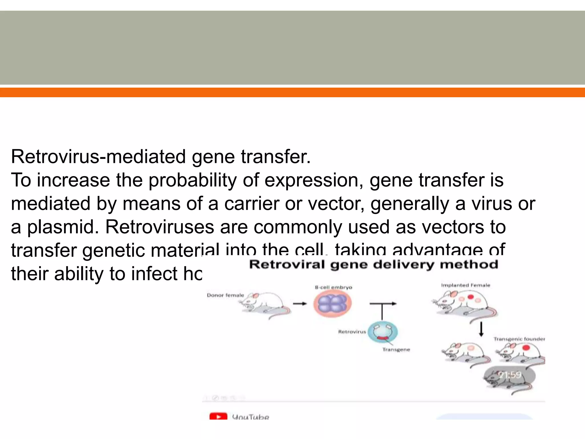 Retrovirus-mediated gene transfer.
To increase the probability of expression, gene transfer is
mediated by means of a carrier or vector, generally a virus or
a plasmid. Retroviruses are commonly used as vectors to
transfer genetic material into the cell, taking advantage of
their ability to infect host cells in this way.
 