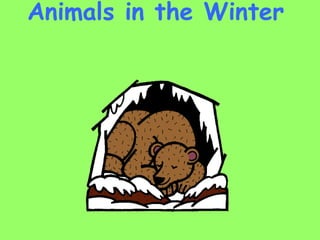 Animals in the Winter   