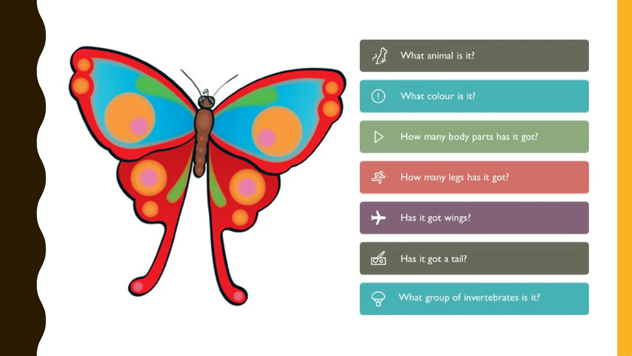 Animals - invertebrates classification.pptx