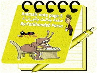 Animals notepage-5