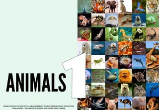 Animals part 1