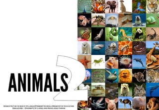 Animals part 2