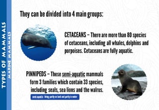 Science - All About Animals 2