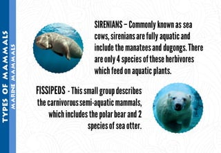 Science - All About Animals 2