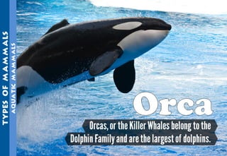 Science - All About Animals 2