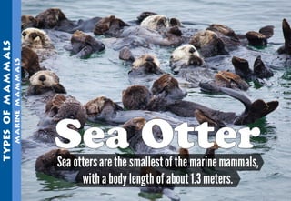 Science - All About Animals 2