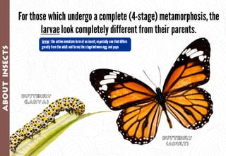 Science - All About Animals 2