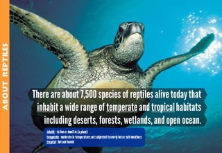 Science - All About Animals 2