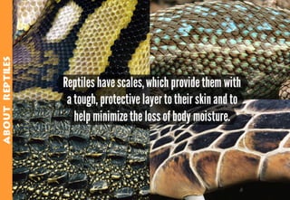 Science - All About Animals 2