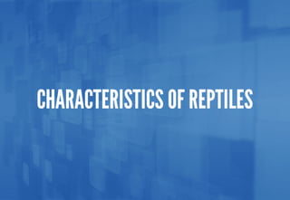 Science - All About Animals 2