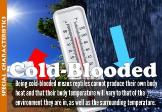 Science - All About Animals 2