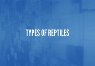 Science - All About Animals 2