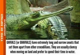 Science - All About Animals 2