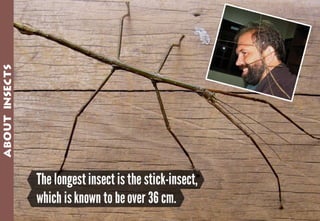 Science - All About Animals 2