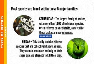 Science - All About Animals 2