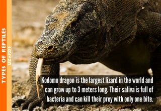 Science - All About Animals 2