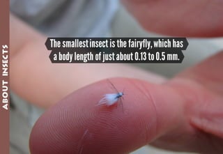 Science - All About Animals 2