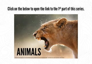 Science - All About Animals 2