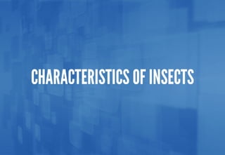 Science - All About Animals 2