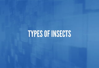 Science - All About Animals 2